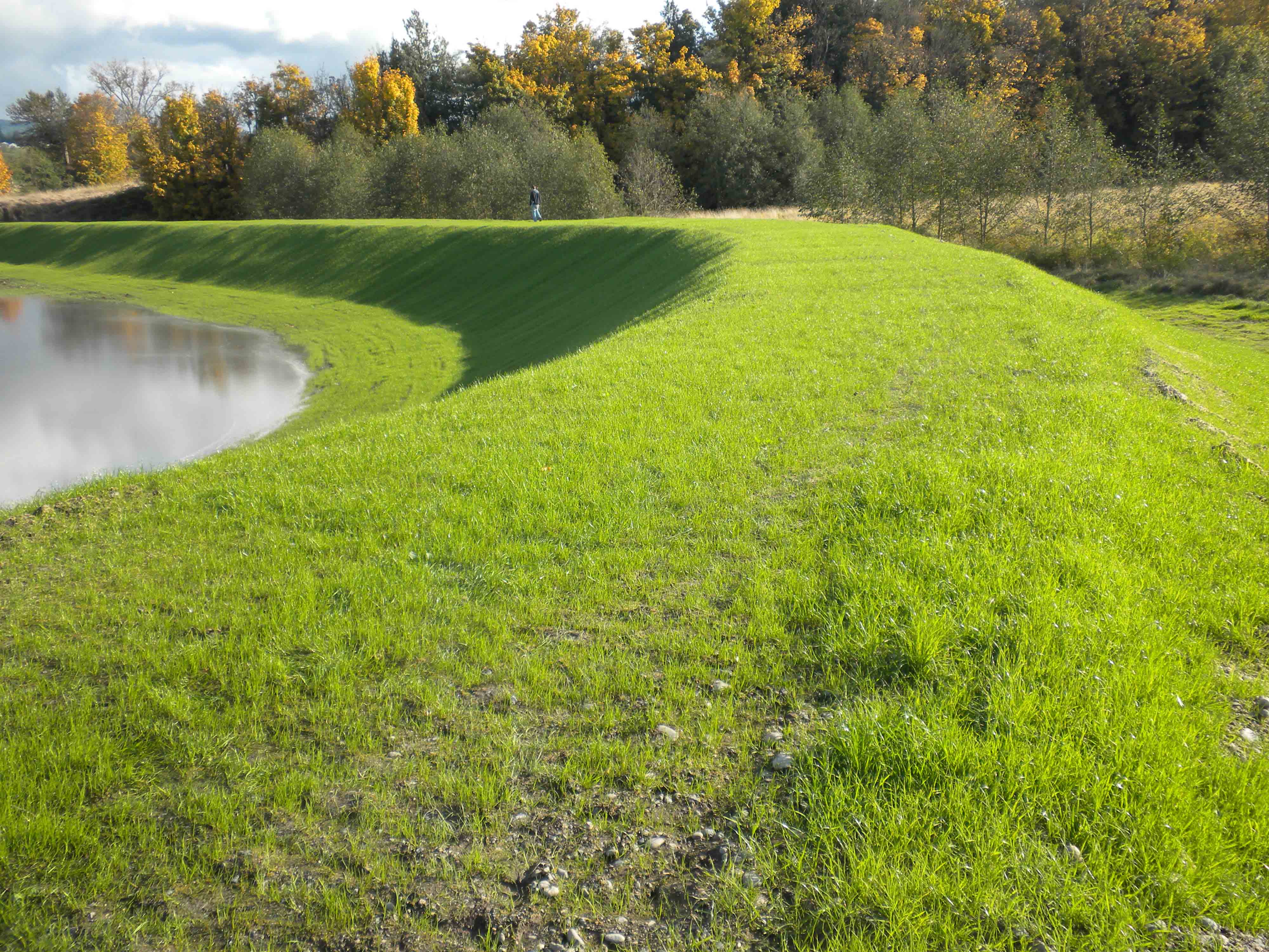 Fisher Slough