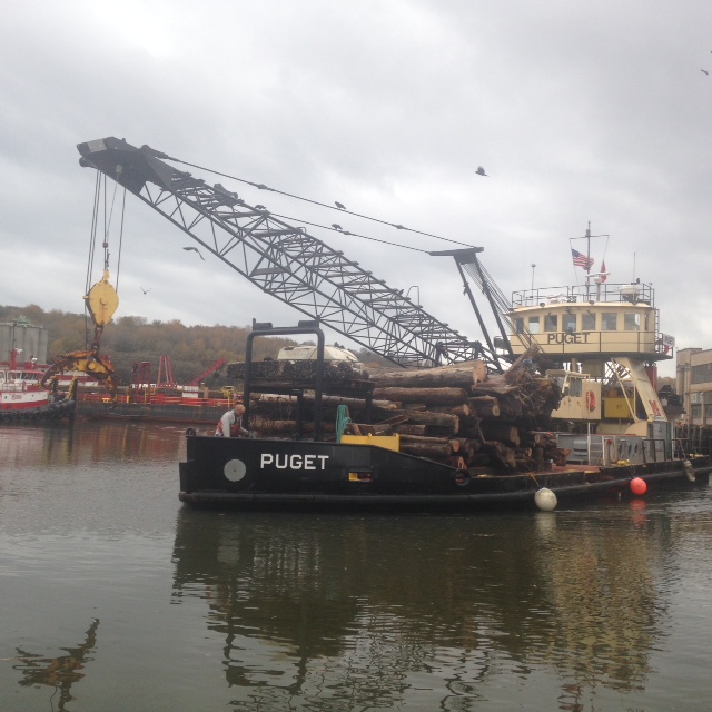 M/V Puget